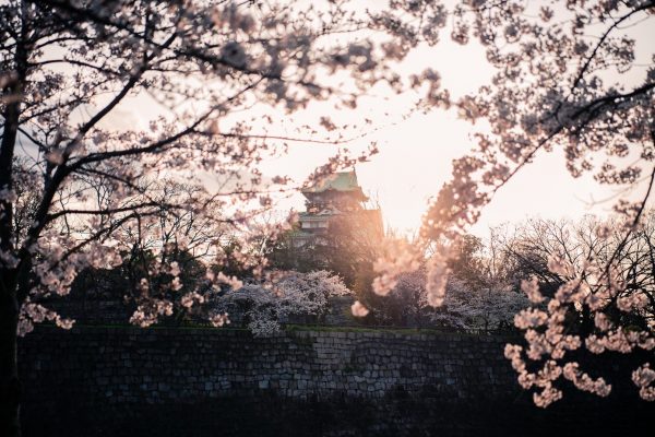 Die Traditionelle Chinesische Medizin wurde vor mehr als 2.000 Jahren in China entwickelt.